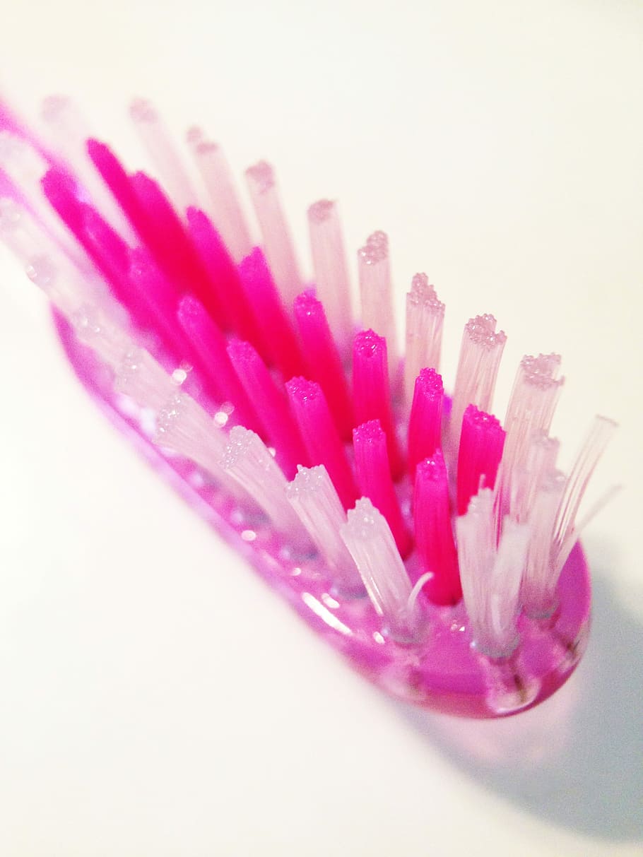 Brush, Teeth, Bristles, pink color, studio shot, white background HD wallpaper