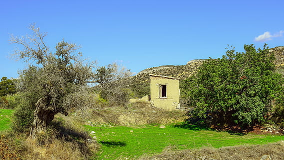 cyprus, psematismenos, landscape, mediterranean, countryside HD wallpaper