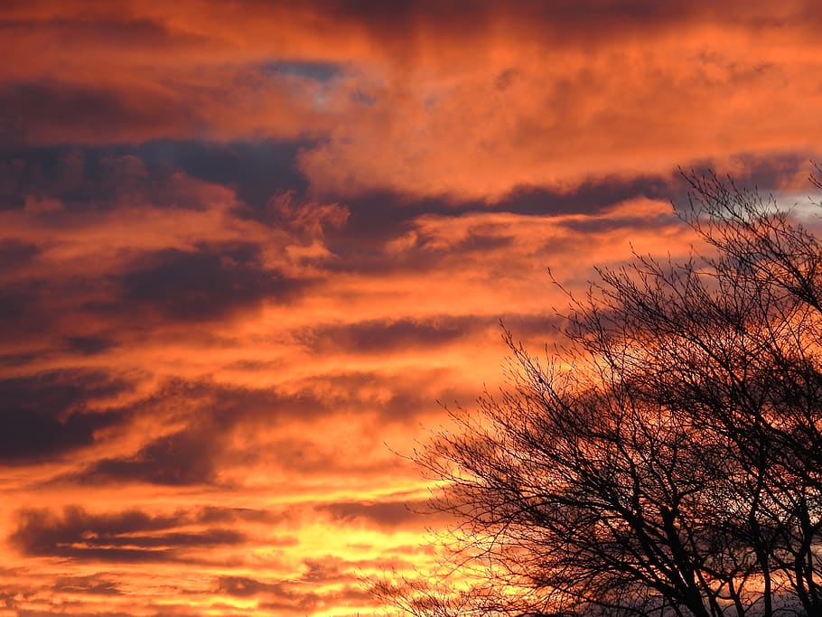 sunset, evening sky, afterglow, cloud - sky, orange color, beauty in nature HD wallpaper