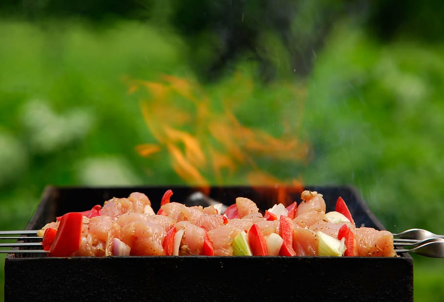 barbecue meat, grill, fire, poultry, turkey meat, onion, shish kebab HD wallpaper