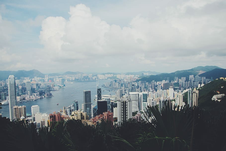 concrete building near body of water under blue sky, cityscape HD wallpaper