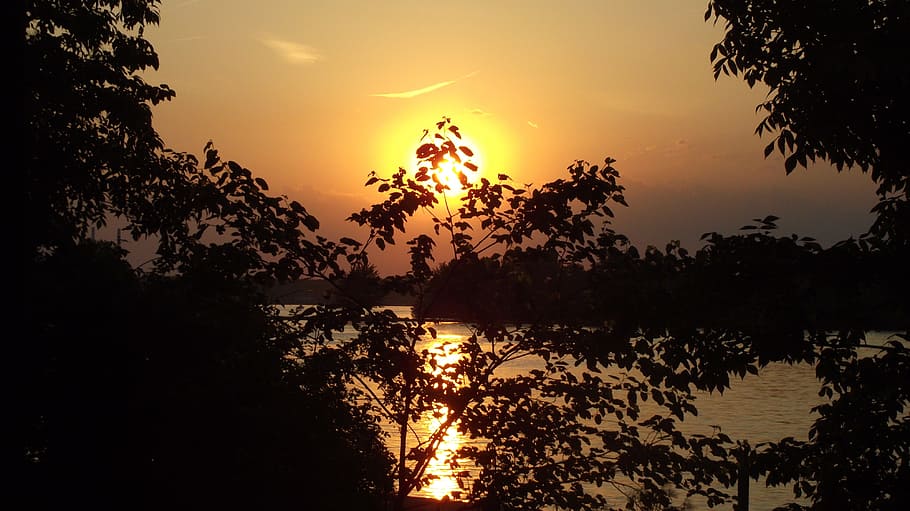 sunset, summer, nature, landscape, water, trees, leaves, sky HD wallpaper