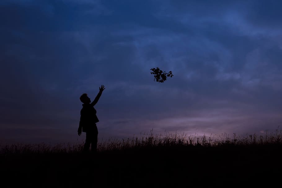 silhouette of man during sunset, man throwing tree branch during nighttime HD wallpaper