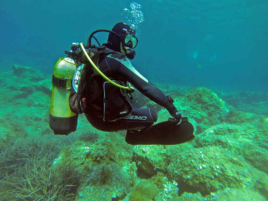 diver at the bottom of the sea, scuba diver, padi, water, underwater, HD wallpaper
