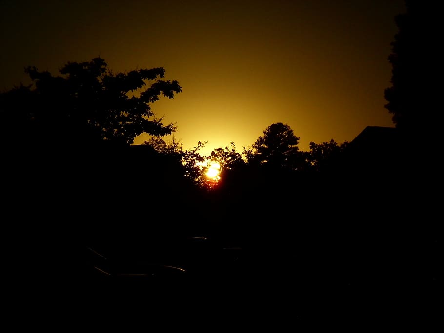 sunset, orange, sky, silhouette, tree, tranquility, beauty in nature HD wallpaper