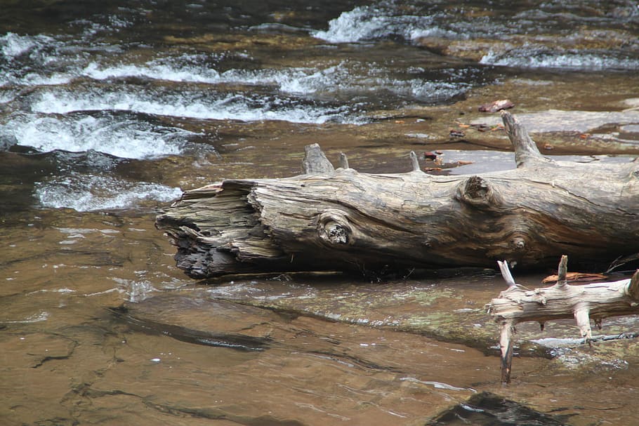cascade falls, virginia, fallen tree, nature, waterfall, river HD wallpaper