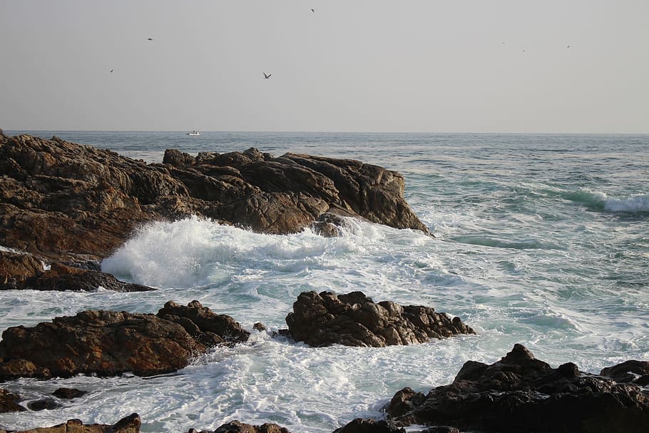 Rock, Waves, Sea, Catfish, go to catfish, nature, no people, HD wallpaper