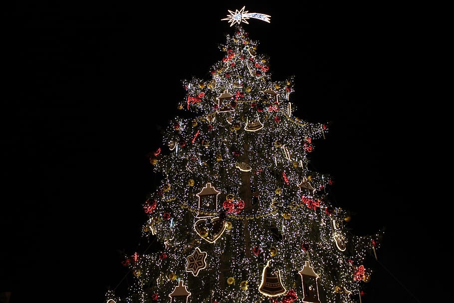 Sapling, Christmas, trappings, christmas tree, night, lights HD wallpaper