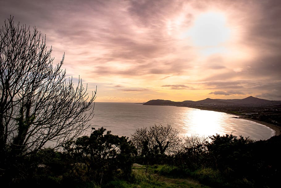 view, tree, sunset, ireland, beach, clouds, bay, pink sky, water HD wallpaper