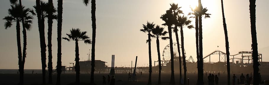green trees near ferry's wheel, beach, scene, silhouette, palm trees HD wallpaper