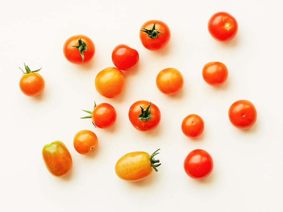 tomato illustrioes, cherry, grape, red, food, healthy, fresh HD wallpaper