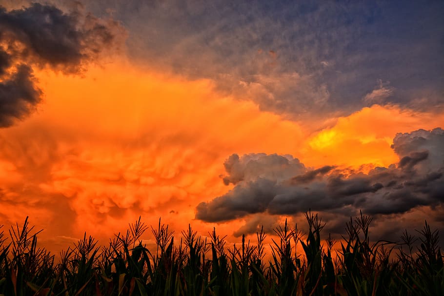 sunset, nature, sky, landscape, outdoors, cloud, summer, cloud - sky HD wallpaper