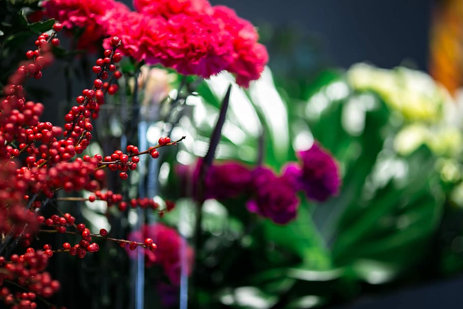 Red rowan with a colourful arrangement of flowers, flora, yellow HD wallpaper
