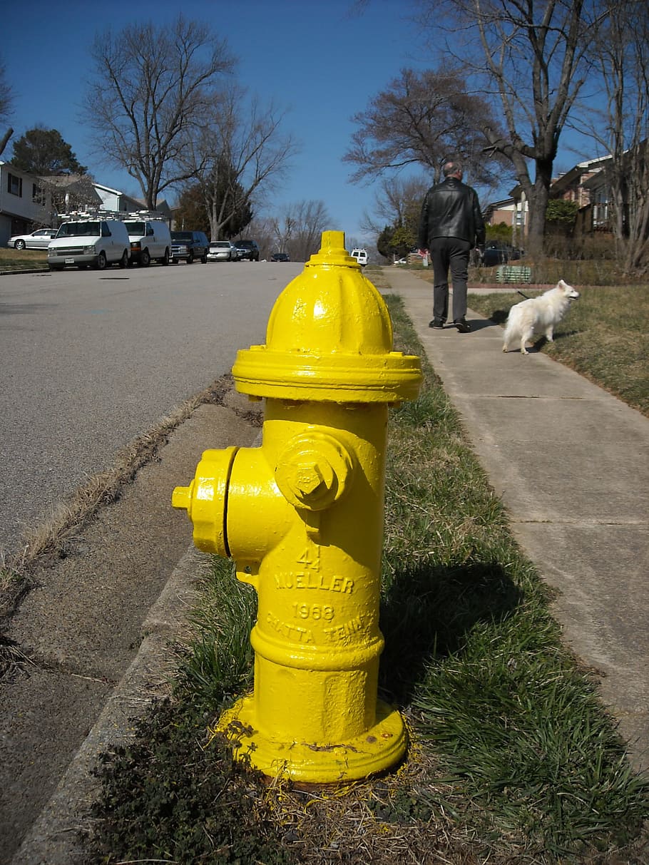 yellow fire hydrant under blue sky, Street, Dog, Walk, Fire, Safety, HD wallpaper