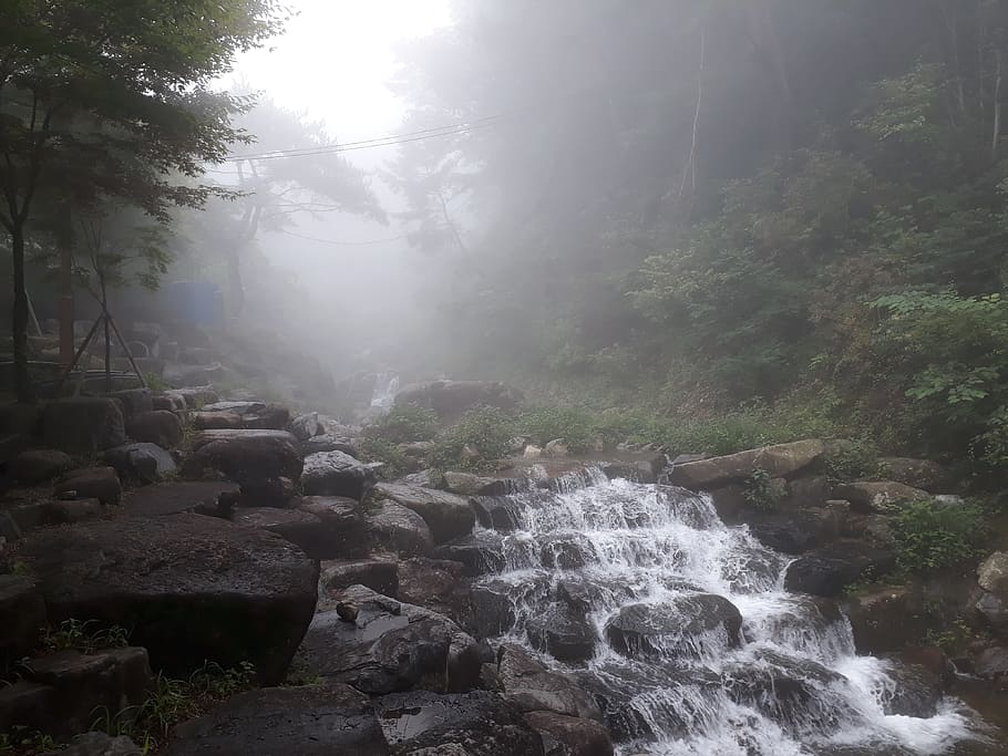 stream in forest, vacation, beautiful, nature, landscape, streams HD wallpaper