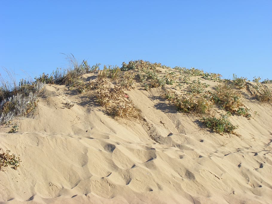 Dune, Beach, Cadiz, nature, sand, arid climate, desert, scenics HD wallpaper