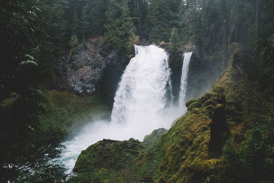 waterfalls in forest, waterfalls surround trees, river, moss HD wallpaper