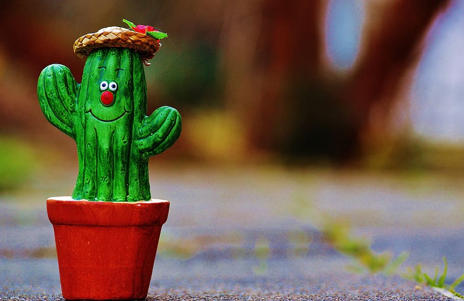 cactus, straw hat, face, funny, cute, funny face, decoration HD wallpaper