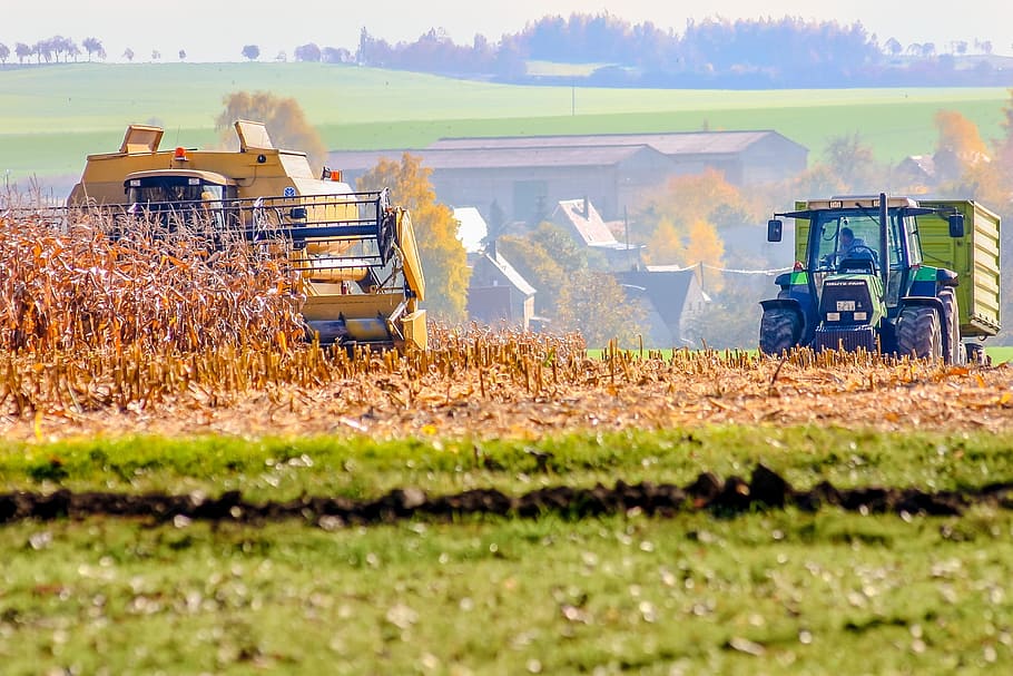 autumn, fieldwork, harvest, corn, land, rural scene, landscape HD wallpaper