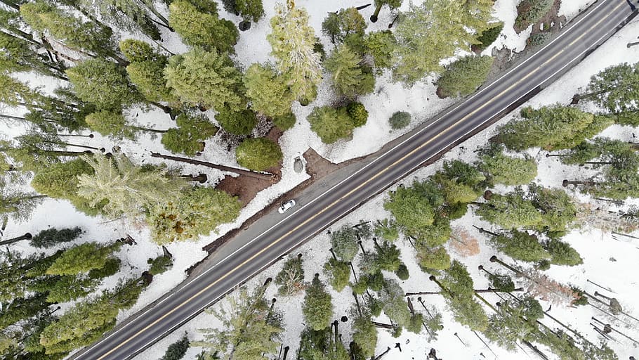 grey concrete road, aerial view of asphalt road surrounded by trees HD wallpaper