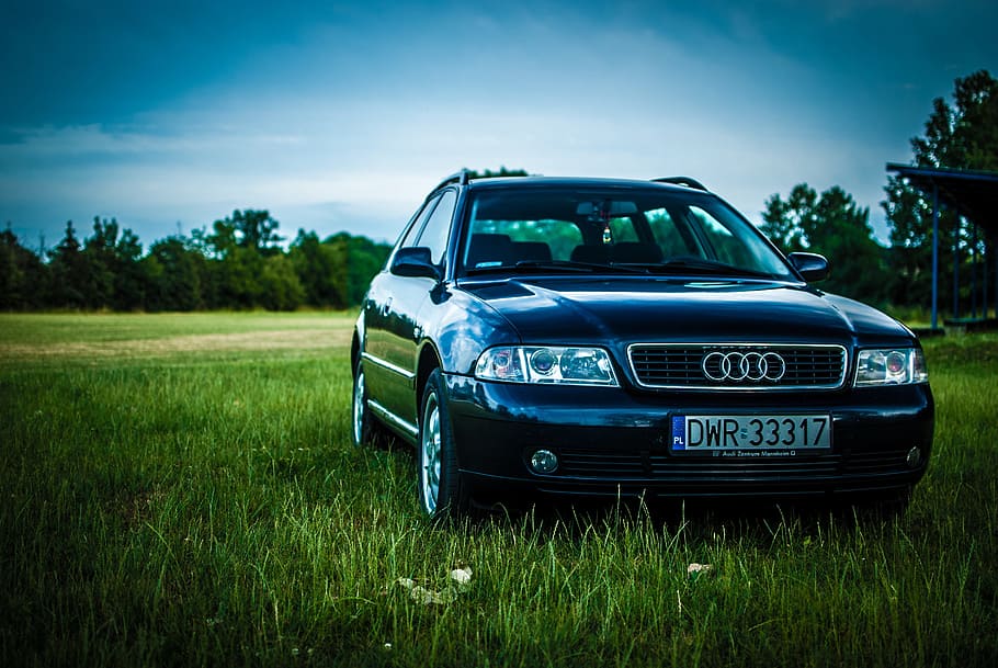 Audi, A4, Meadow, Car, Sky, Grass, transport, cars, tourism HD wallpaper