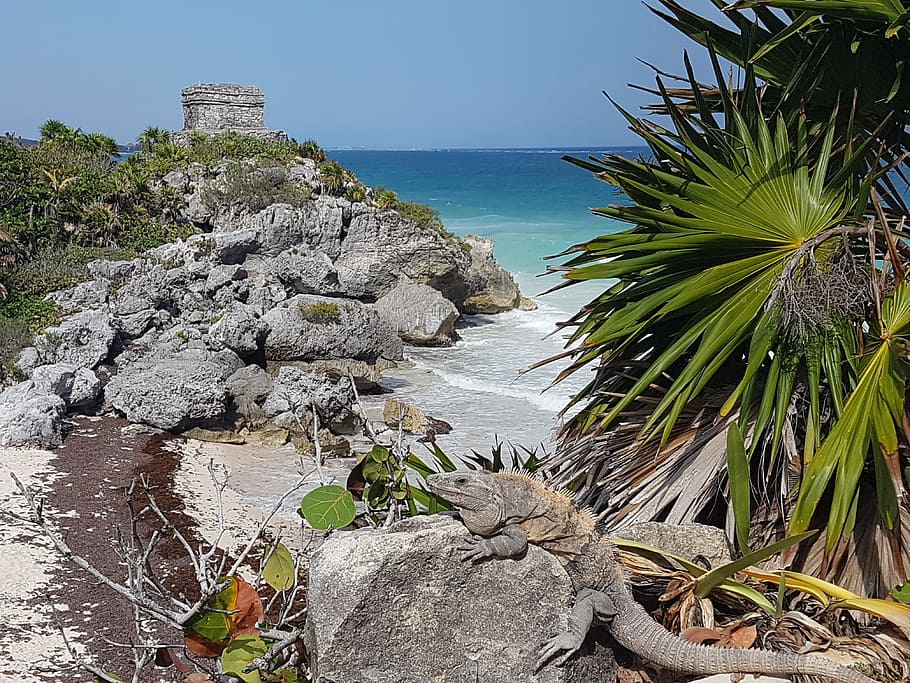 Ruins, Maya, Yucatan, sea, beach, nature, travel Locations HD wallpaper