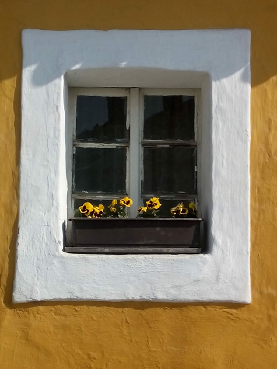 Window, Old, Flower Box, flowers, no people, day, close-up HD wallpaper