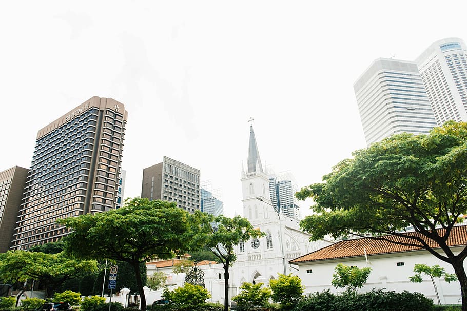 buildings beside green trees, white and brown city buildings during daytime HD wallpaper