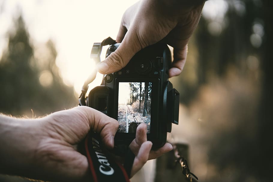 person holding Canon DSLR camera, person holding black DSLR camera HD wallpaper