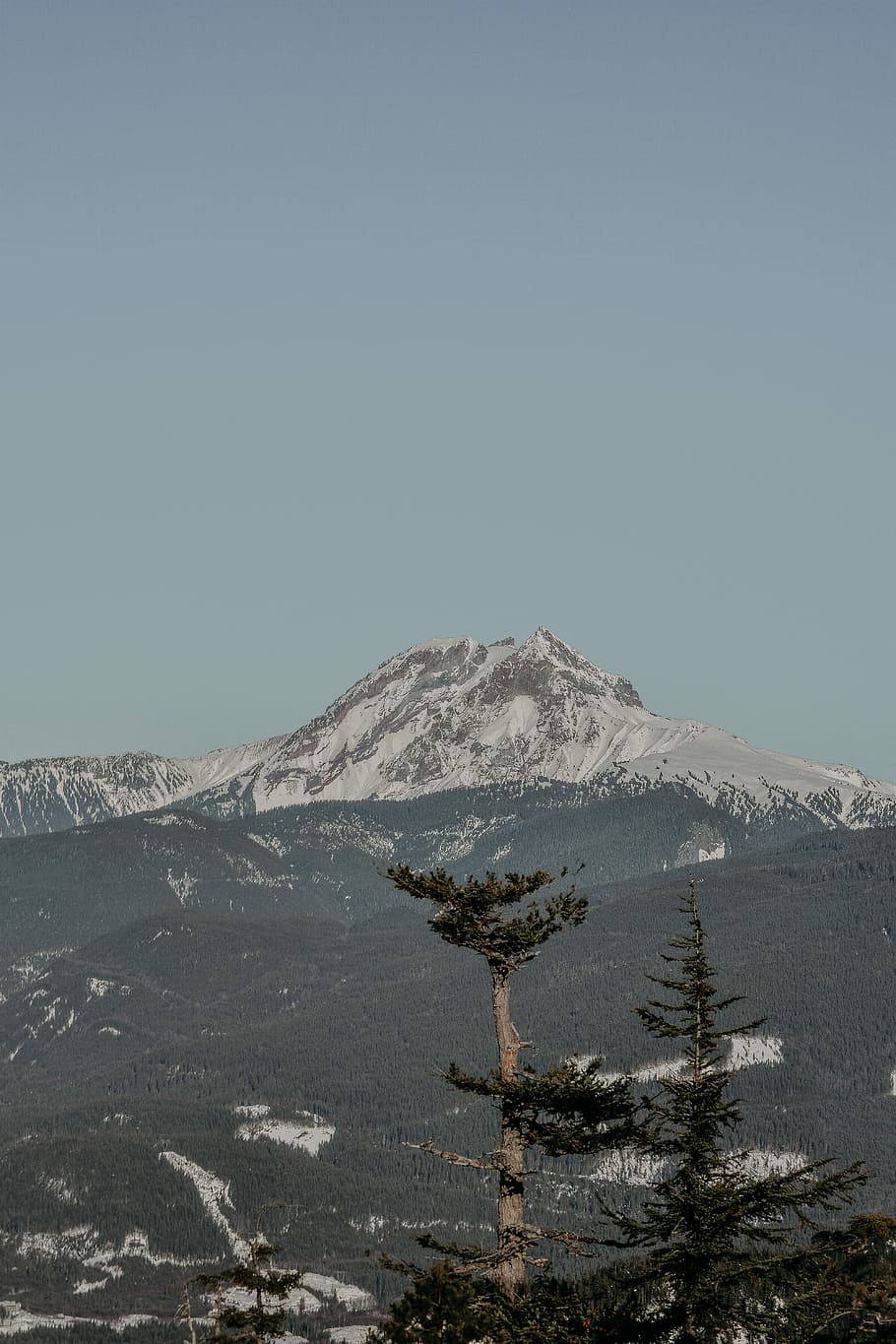 snowy white surrounded by trees, landscape photography of mountains and trees HD wallpaper
