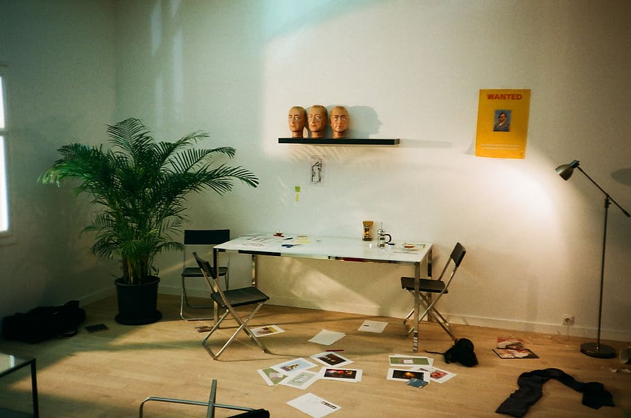 scattered photo inside the room with floor lamp turned on, sago palm plant beside rectangular white table HD wallpaper