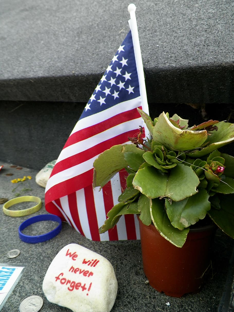 U.S.A flaglet beside green plant, memorial, flight 93, 9 11 HD wallpaper