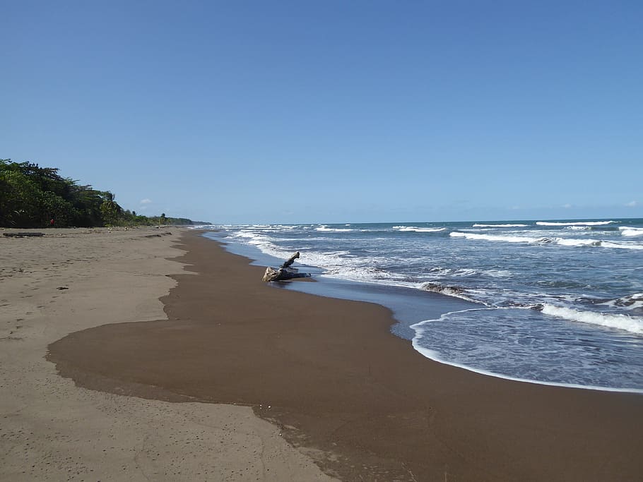 central america, costa rica, national park, beach, tortuguero national park