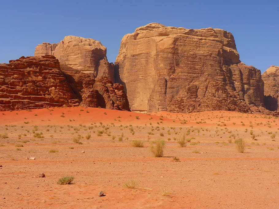 green grasses on valley overlooking mountain during daytime, wadi rum