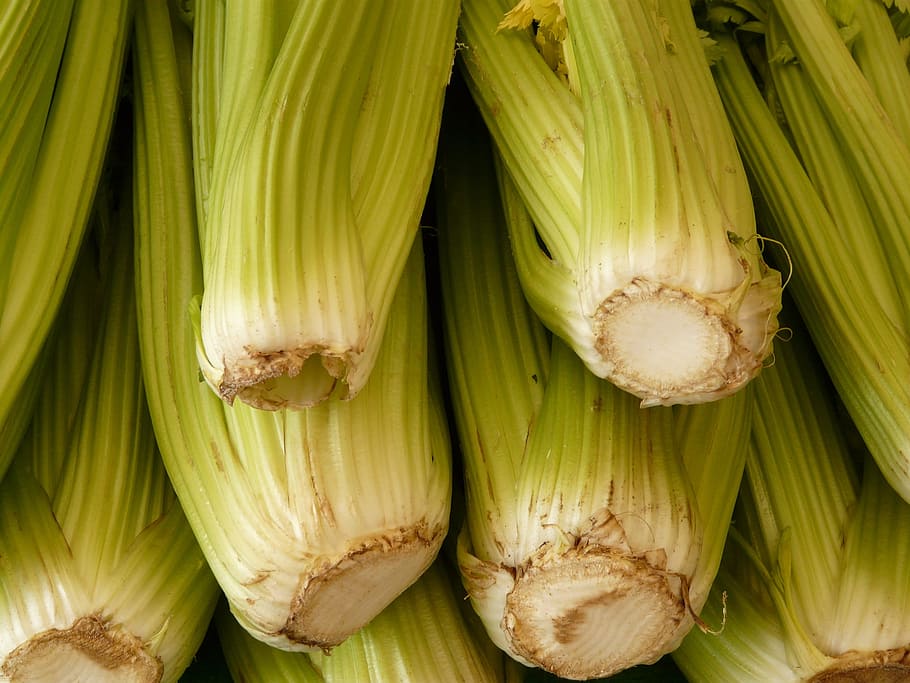 close-up of bunch of green bok choys, celery, vegetables, food, HD wallpaper