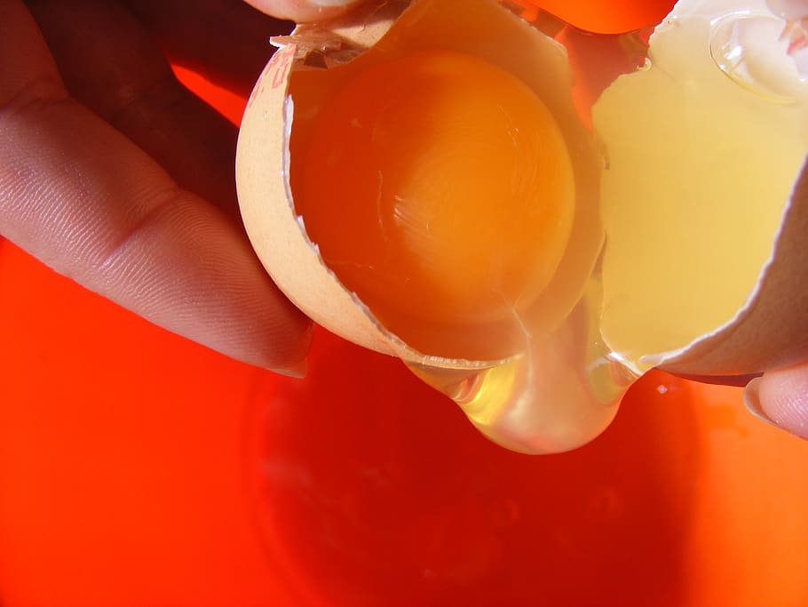 broken, egg, eggs, inside, oocyte, yellow, yolk, food, drink HD wallpaper