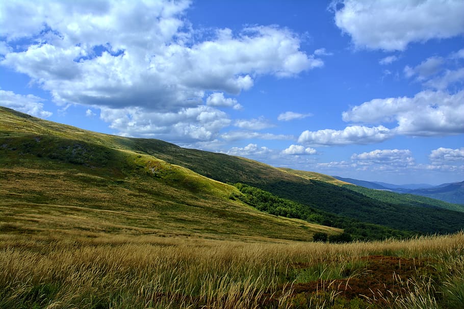 bieszczady, tarnica, beech berdo, mountains, the silence, poland HD wallpaper