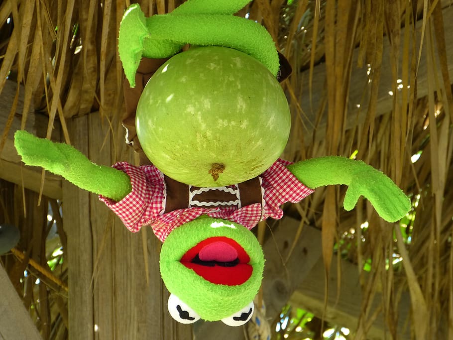 kermit, frog, calabash, pumpkin, green, depend, pumpkin art HD wallpaper