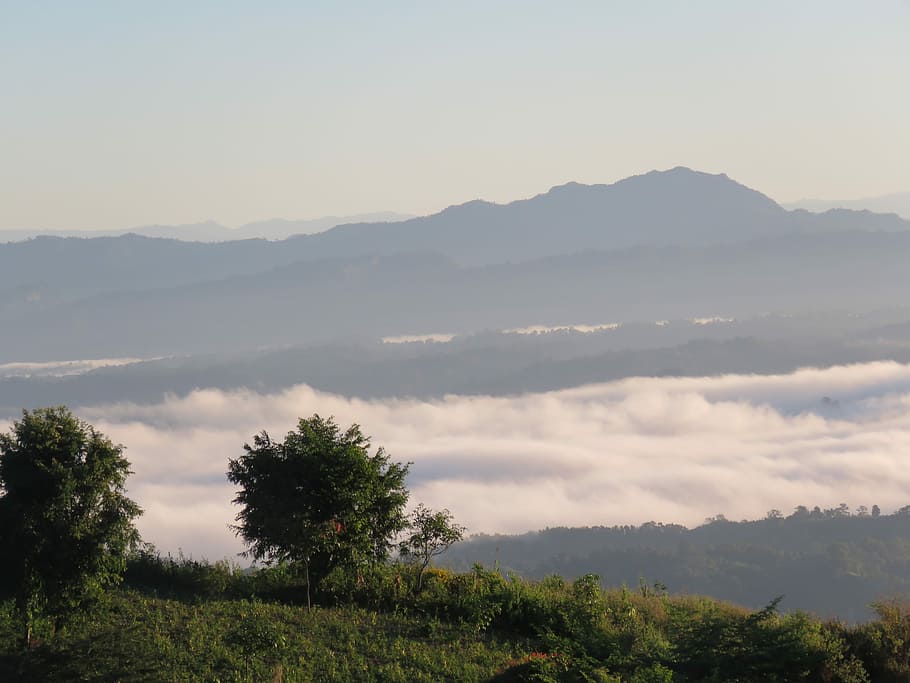 nilgiri, cloud, tree, nature, sky, landscape, outdoors, mountain, HD wallpaper