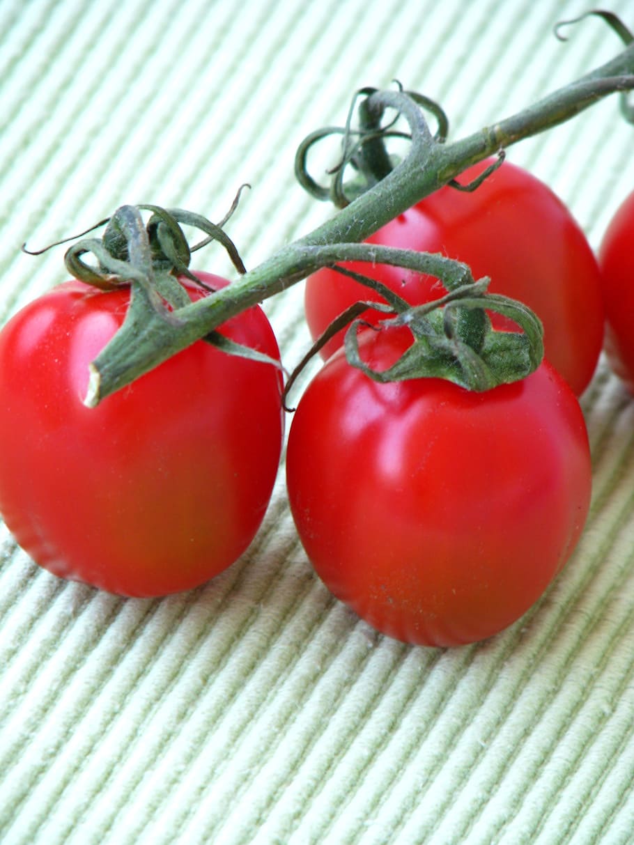 tomatoes, red, vegetarian, vegetable, food and drink, fruit HD wallpaper