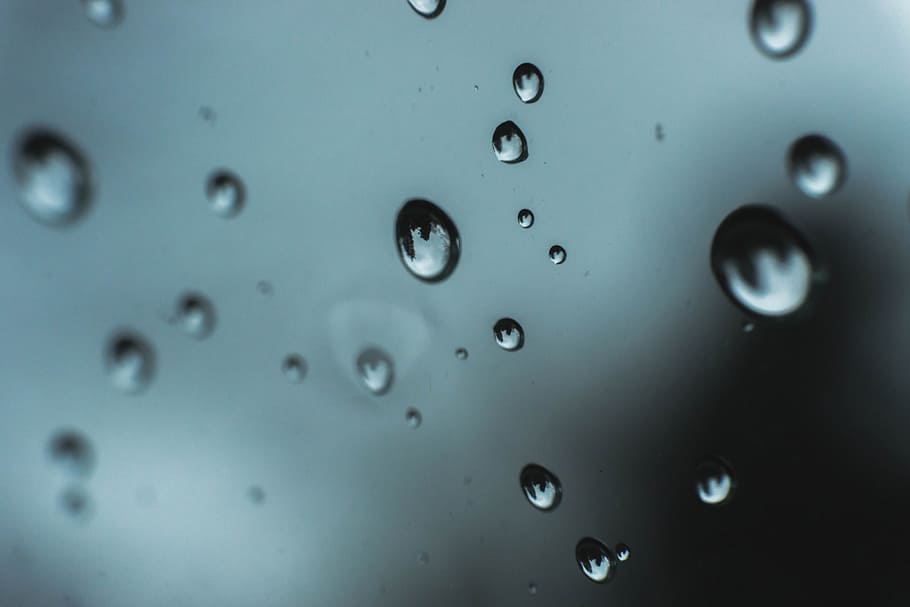 macro, rain, water, droplets, weather, close-up, indoors, no people HD wallpaper