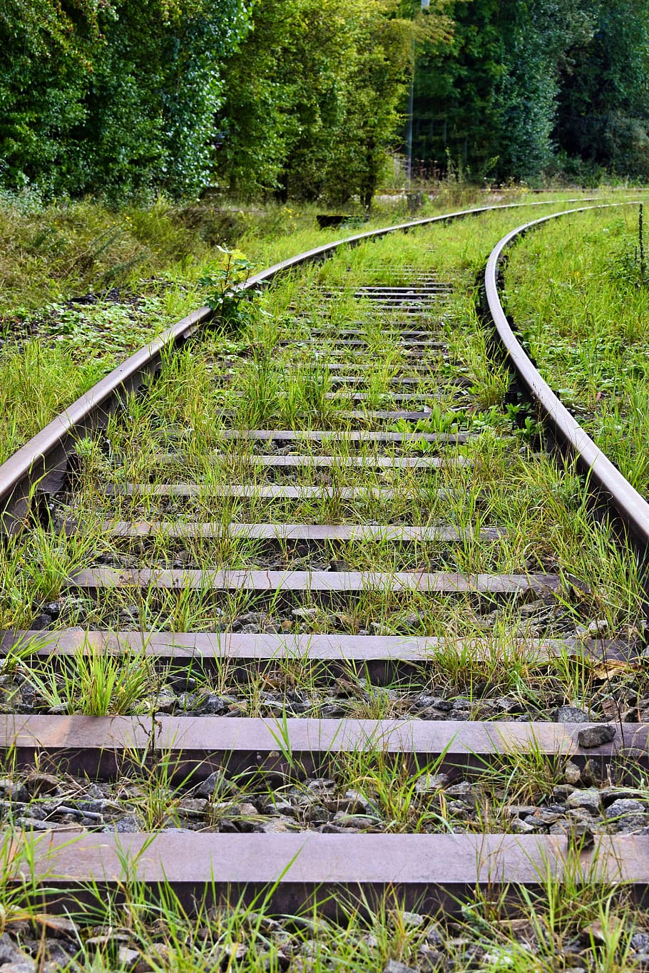 HD wallpaper: railway tracks, gleise, green, meadow, train, railway  sleepers | Wallpaper Flare
