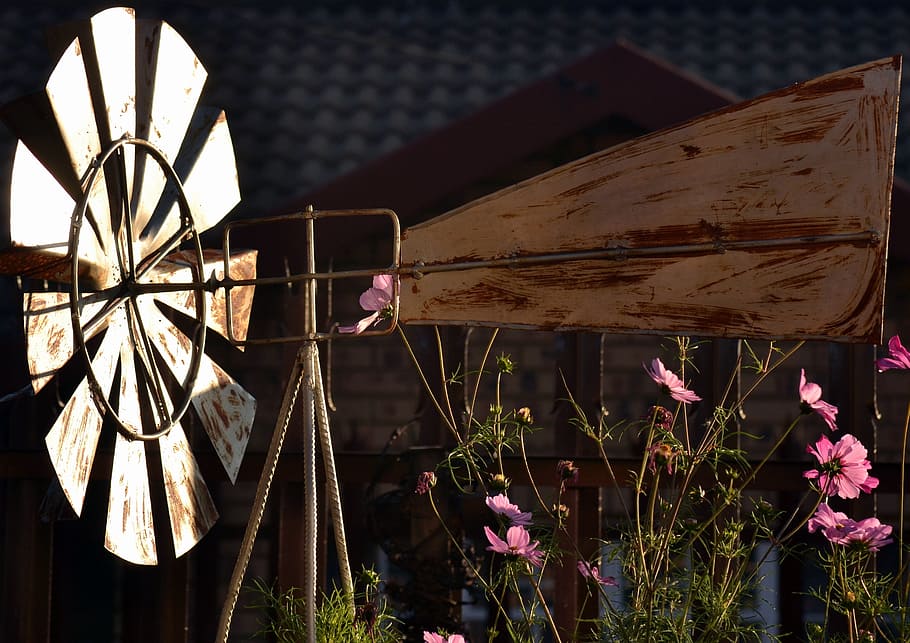 windmill, sunlight, spring, flowering plant, nature, wood - material HD wallpaper