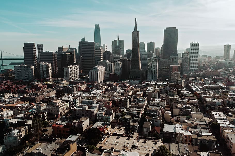 high-rise building under blue sky, cityscape at daytime aerial photography HD wallpaper