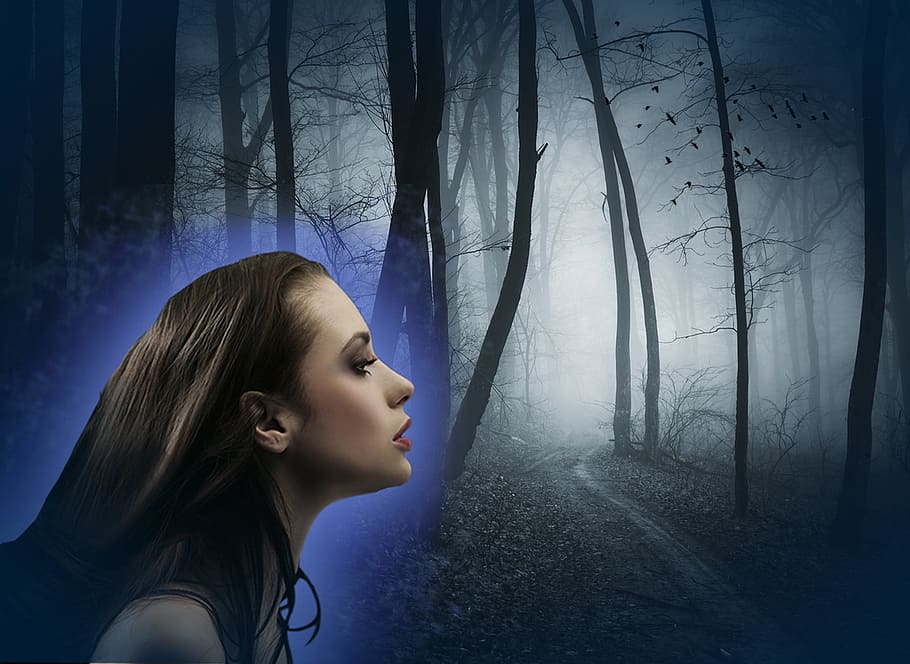 night, scary, magic, witch, spooky, horror, mystery, forest HD wallpaper