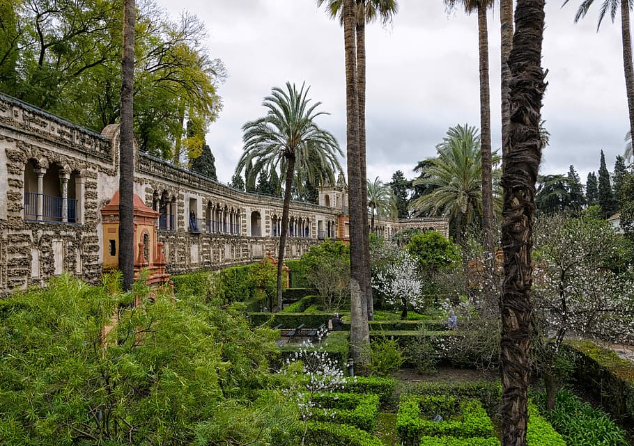 architecture, tree, building, old, travel, palm, tourism, city HD wallpaper