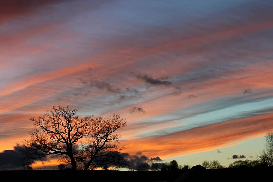 sunset, evening, twilight, sky, tree, cloud - sky, beauty in nature HD wallpaper