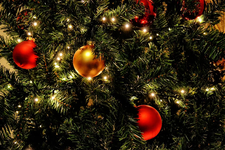 two red and one gold Christmas balls on Christmas tree, lights