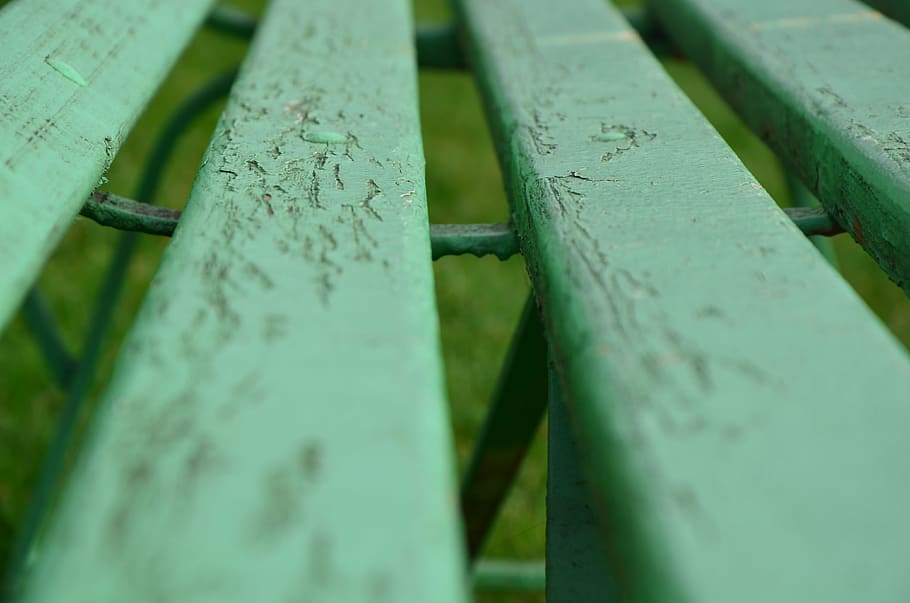 bench, green, autumn, macro, photo, no people, selective focus HD wallpaper