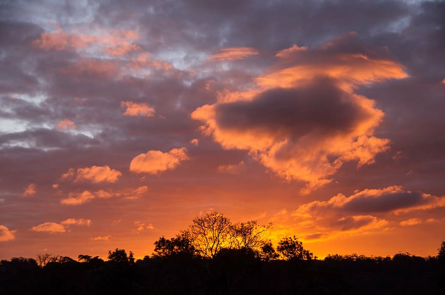 sunset, sky, pink, orange, blue, clouds, horizon, trees, australia HD wallpaper